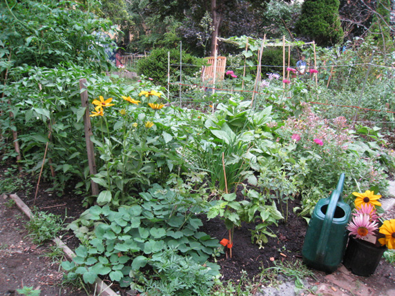 Center for Bioregional Living - Andrew Faust